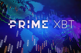 FAQs About PrimeXBT 3
